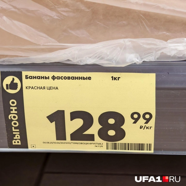 Источник: Булат Салихов / UFA1.RU
