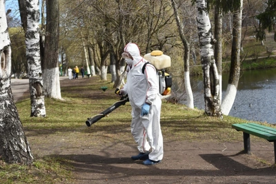 В парках Вологды началась обработка от клещей