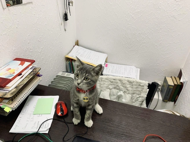 Разве можно было устоять перед обаянием этого крохи?  | Источник: «Акцент. Музыкальная рок-школа» / Vk.com