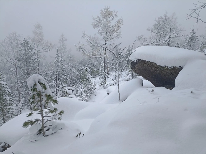 С начала поисков в тайге выпал толстый слой снега | Источник: Алексей Исиченко