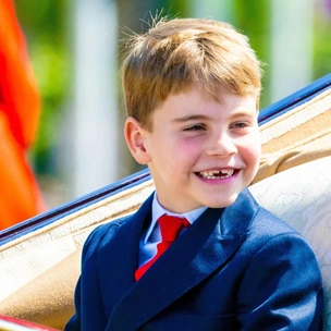 Правда ли, что принц Луи может унаследовать титул герцога, отнятый у Эндрю