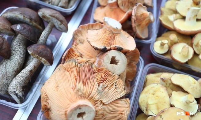 Грибной урожай понадобится даже зимой | Источник: Владислав Лоншаков / E1.RU 