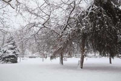 Погода на февральские праздники в Алтайском крае