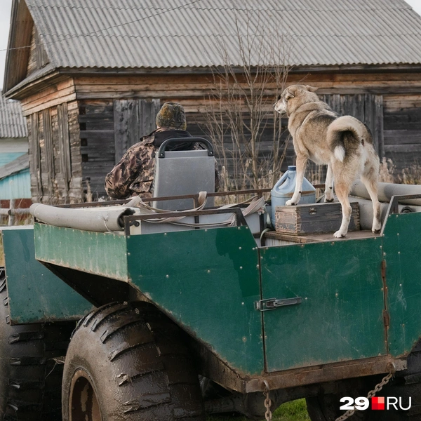 Источник: Иван Митюшёв / 29.RU