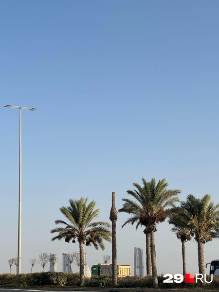 Источник: Валерия Богатырёва / 29.RU