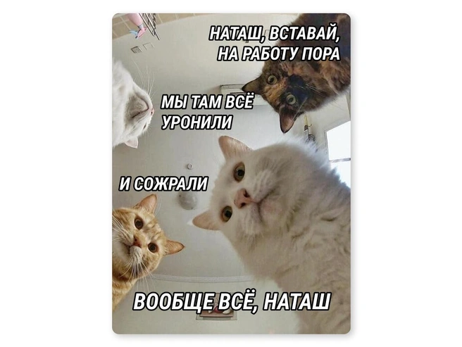 И так каждое утро | Источник: Мария Романова / Городские медиа