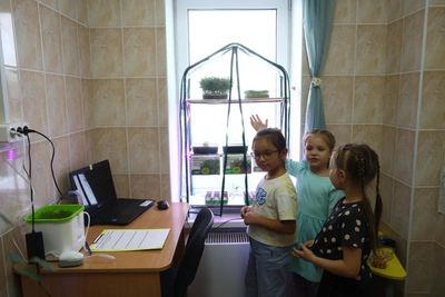 Ученики екатеринбургской школы вырастили огуртык и томатофель