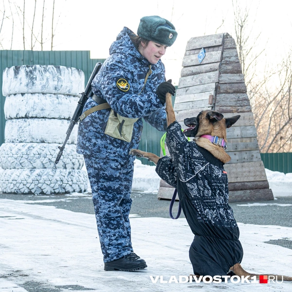 Источник: Елена Буйвол / VLADIVOSTOK1.RU