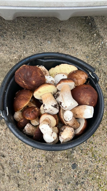 Источник: Анастасия Касьянова