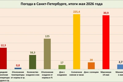 Май в Петербурге завершился рекордным похолоданием за четверть века