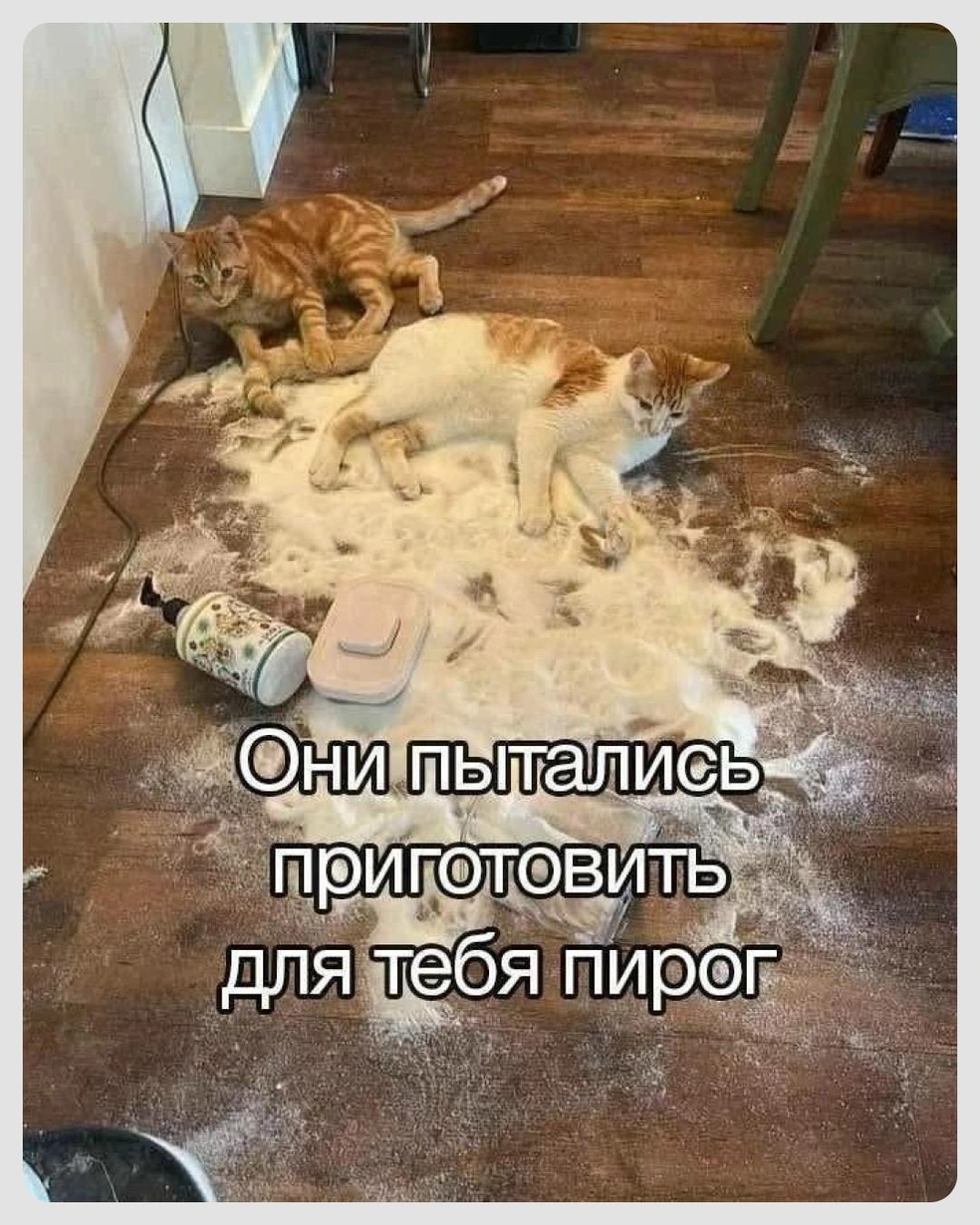 Они старались, ругать за это точно нельзя | Источник: Городские медиа