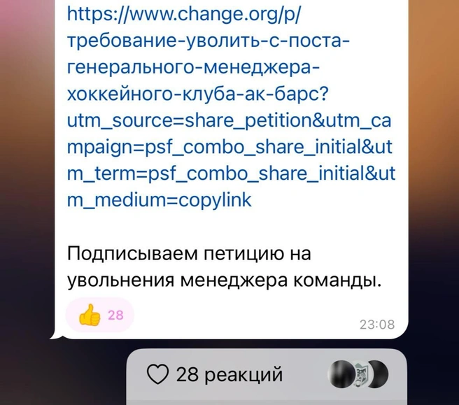 Источник: ХК «Ак Барс» / T.me