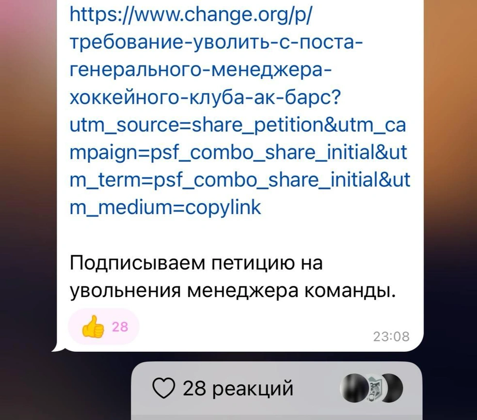 Источник: ХК «Ак Барс» / T.me