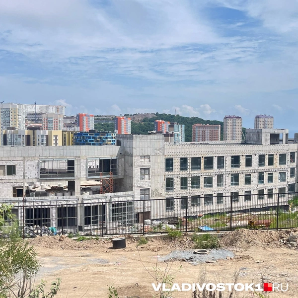 Источник: Елена Буйвол / VLADIVOSTOK1.RU