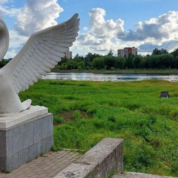 Источник: ЕИС «Закупки» / ООО «Свод»