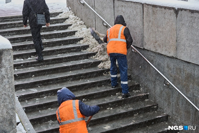 Источник: Александр Ощепков / NGS.RU