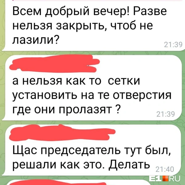 Жители просят закрыть щели, чтобы коты не лезли внутрь подстанции | Источник: читательница E1.RU