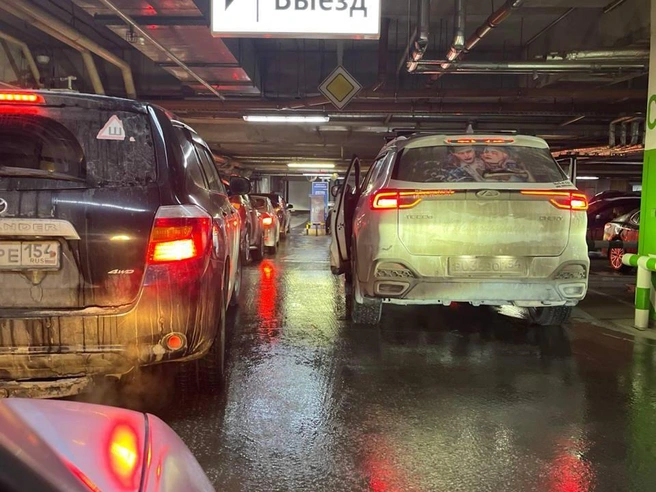 Источник: Читатель НГС