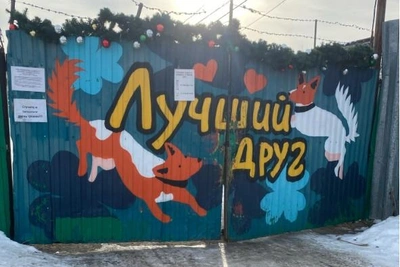 Приют «Лучший друг» в Тюмени закрыт на карантин