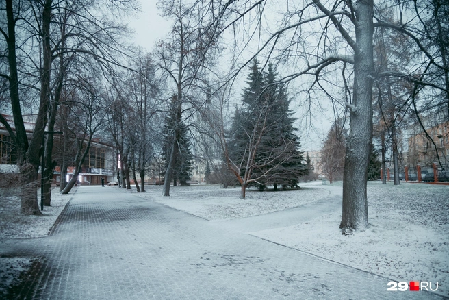 Источник: Иван Митюшёв / 29.RU 