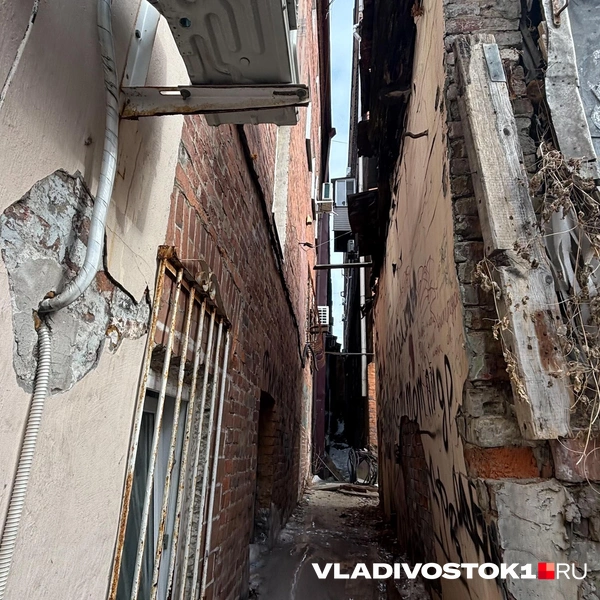 Источник: Елена Буйвол / VLADIVOSTOK1.RU