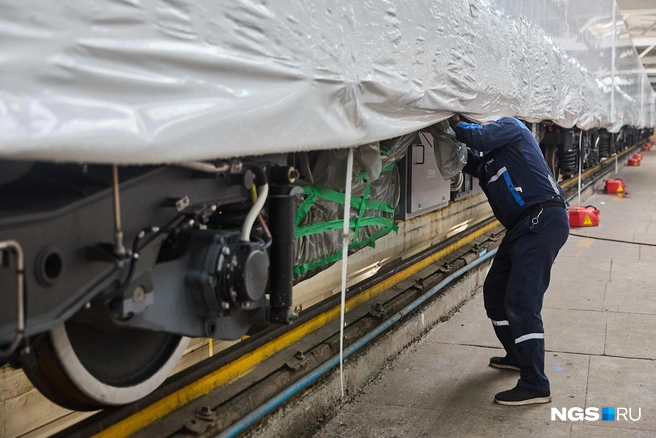 Кажется, что сорвать пленку легко, но это дело требует определенной сноровки | Источник: Александр Ощепков / NGS.RU