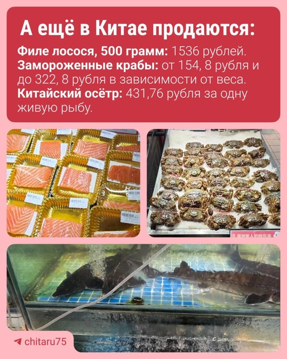 Источник: «Чита.Ру»