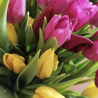 Аватарка pshenitsynaagafya