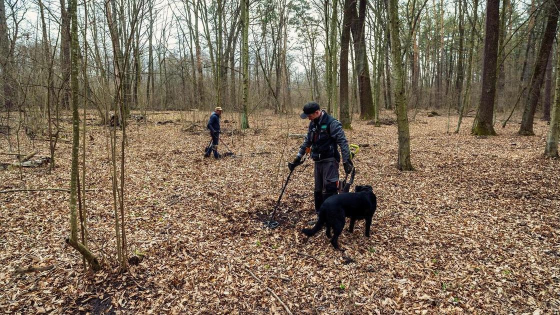 Экстрасенсы &laquo;похоронили&raquo; пропавшего в лесу врача, но он выжил вопреки прогнозам и обстоятельствам