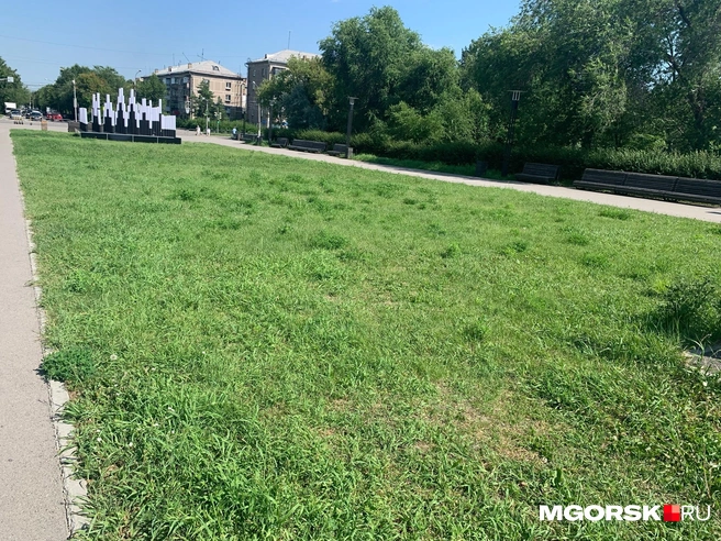 Может, стоило просто оставить зеленый газон вместо цветника? | Источник: Полина Котышева / MGORSK.RU