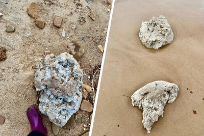 Пальмовое масло продолжает заливать пляжи Темрюкского района