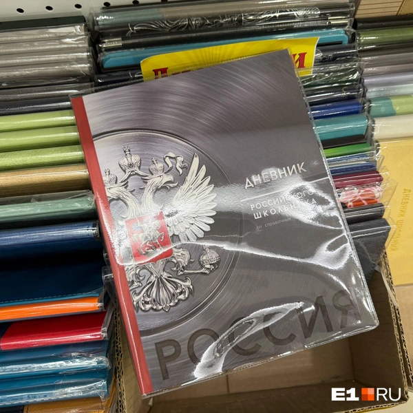 Патриотичные дневники всё еще в моде | Источник: Владислав Зайцев / E1.RU