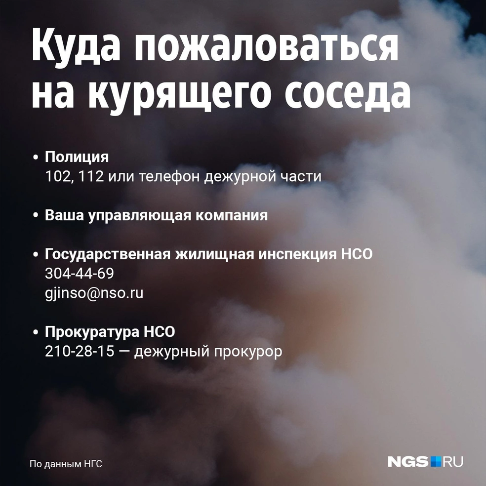 Что делать, если сосед курит: можно ли курить на балконе, в квартире в  Новосибирске - 5 апреля 2023 - НГС.ру