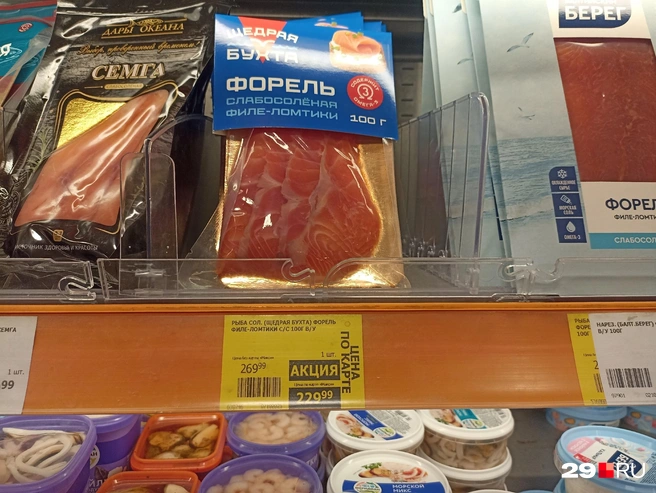 Источник: Иван Митюшёв / 29.RU