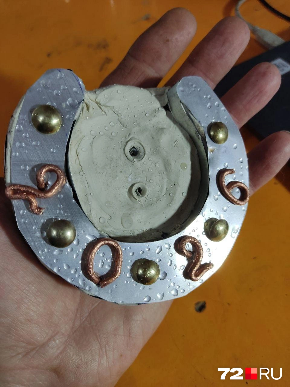 А вот и будущая подкова | Источник: Александр Корнеев 