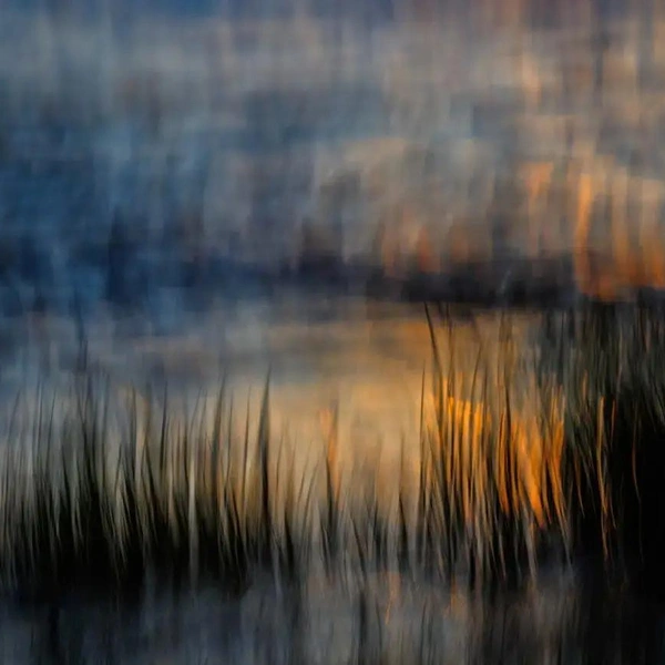 Победитель в номинации «Природа и искусство» | Источник: Katja Manski / GDT Nature Photographer of the Year 2025