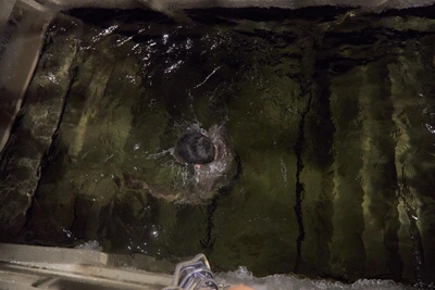 В Самаре готовятся к крещенским купаниям