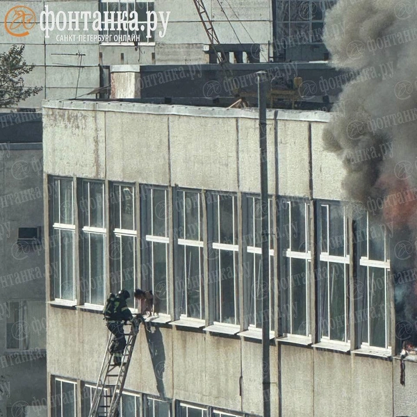 «Женщина отдала ребенка и спустилась следом». Из горящего БЦ в Невском районе людей спасали через окна | Источник: читатель «Фонтанки»