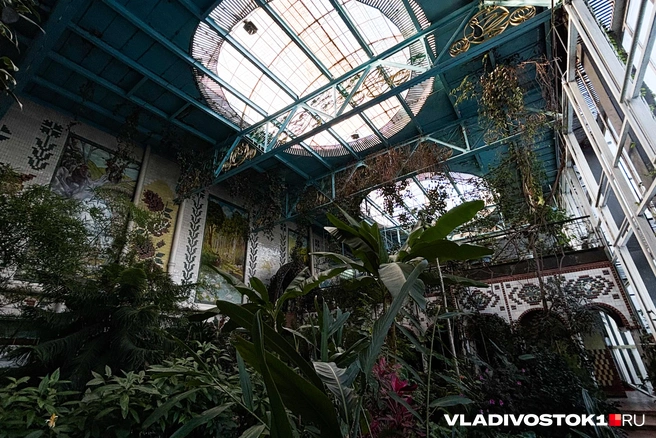 Источник: Елена Буйвол / VLADIVOSTOK1.RU