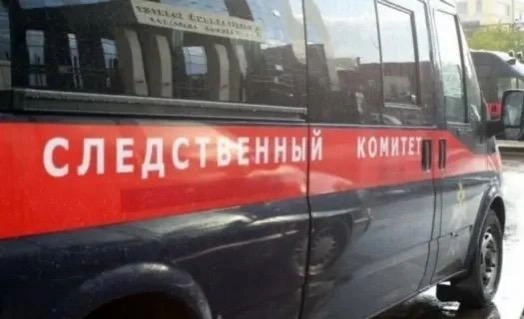 Жительницу Грязей судят за попытку убить сожителя | Источник: lipetsk.sledcom.ru