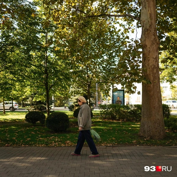 А вот как лучше одеваться&nbsp;— понять сложно | Источник: Дарья Паращенко / 93.RU