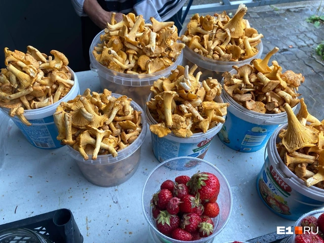 Лисички продают в ведерках из-под майонеза | Источник: Анастасия Ивасишина / E1.RU