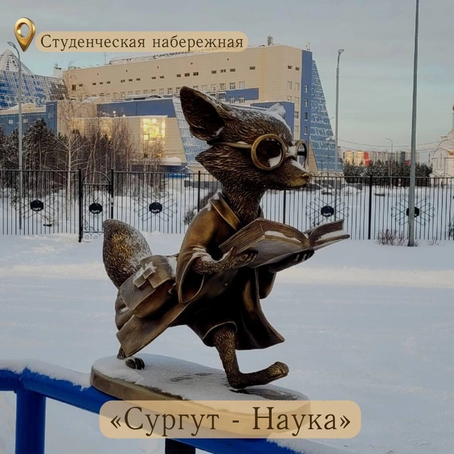 Источник: администрация Сургута / t.me
