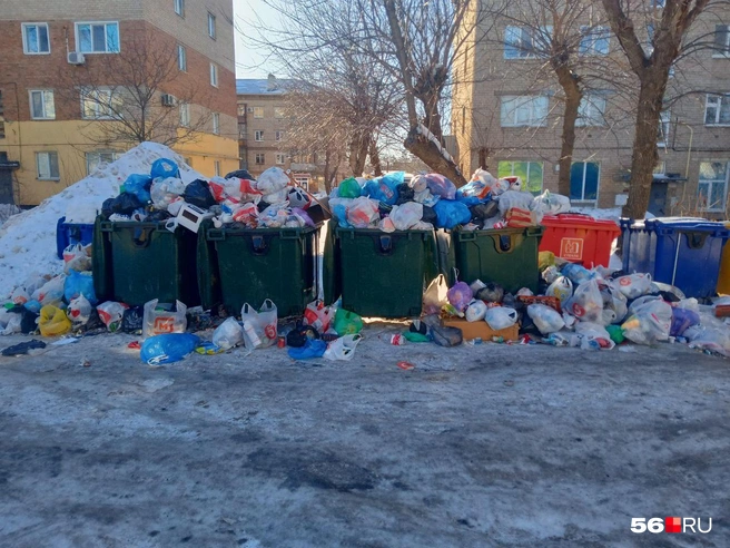 «Природа» будет отвечать за вывоз мусора, пока не найдут нового регоператора | Источник: Владислав Митрошин / 56.RU