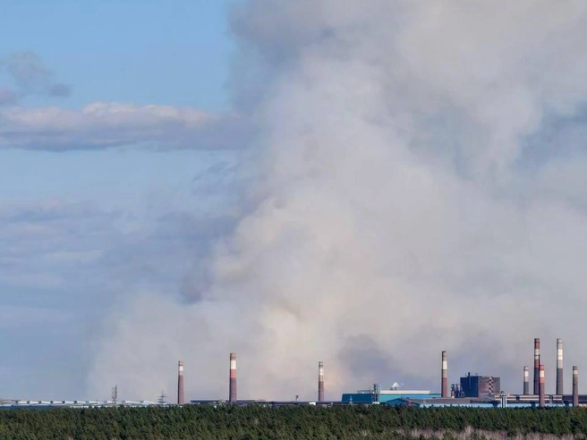 Вид на пожар со стороны микрорайона Славино, расположенного к северу от Челябинска. | Источник: читатель 74.RU