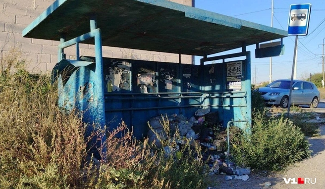 Остановка автобусов с весны завалена мешками со зловонным мусором, ставшим домом для десятков крыс | Источник: читатели V1.RU