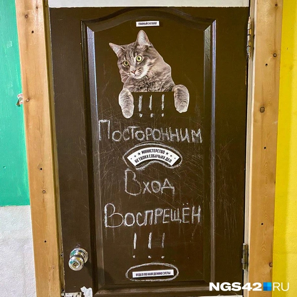 Источник: Елизавета Богатырева / NGS42.RU
