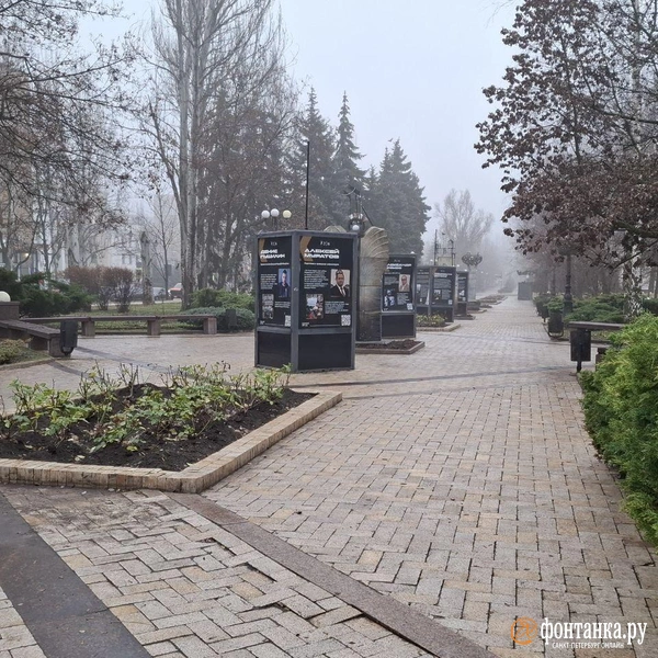 Источник: Ирина Багликова / FONTANKA.RU