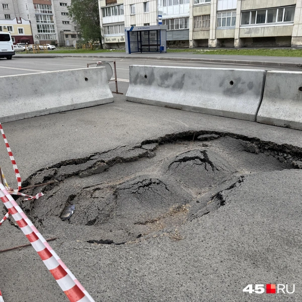 Источник: Юлия Король / 45.RU
