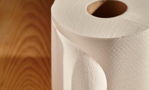 Мягкая альтернатива: краткая история туалетной бумаги